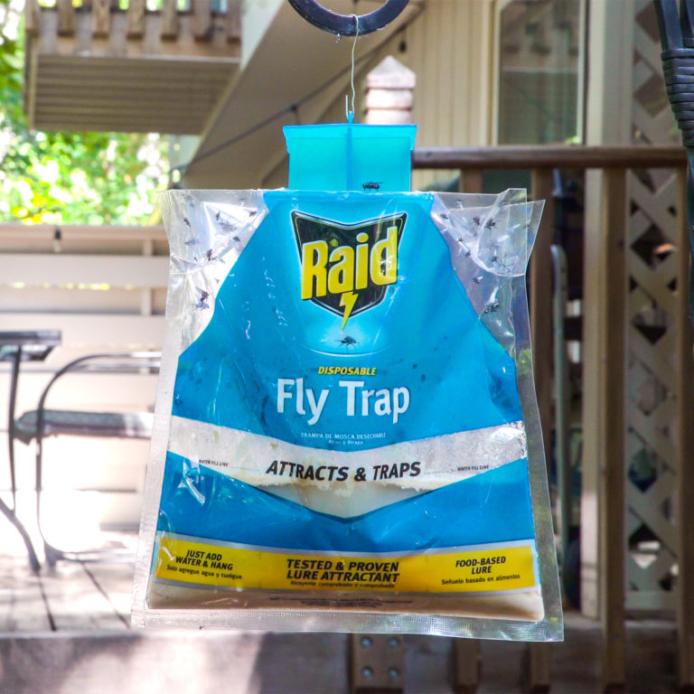 Raid Disposable Fly Trap - Pic Corp