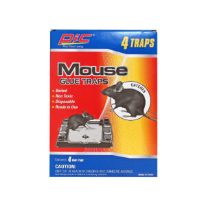 Mouse & Rat - Glue Traps - UrbanGroc