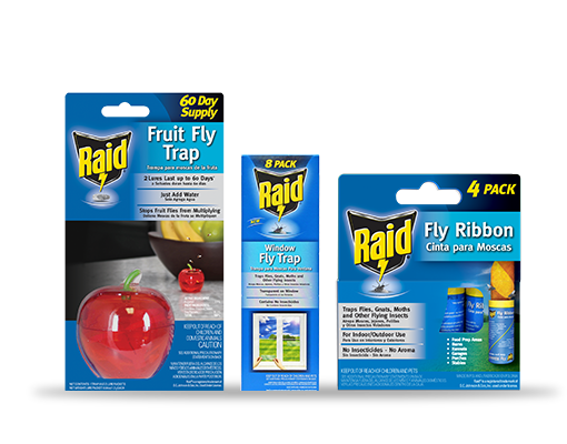 Raid 2 pack FRUIT FLY TRAP Stops Flies 120 Day Supply USA FAST