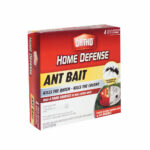 Ortho Home Defense Ant Killer, 4 Pack - Pic Corp